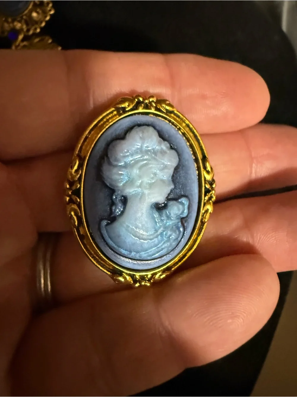 Blue Faux Cameo Brooch Set with Gold tone